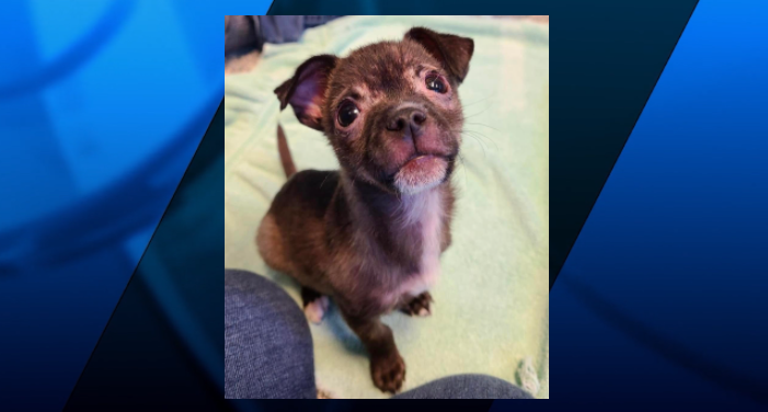 Screenshot 2022 03 01 055320