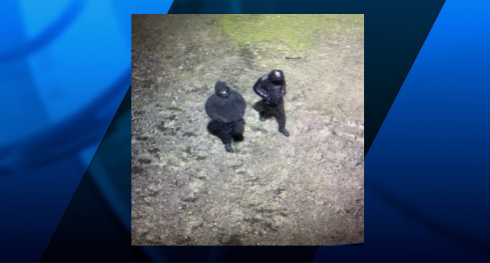 Middleboro vandalism suspects