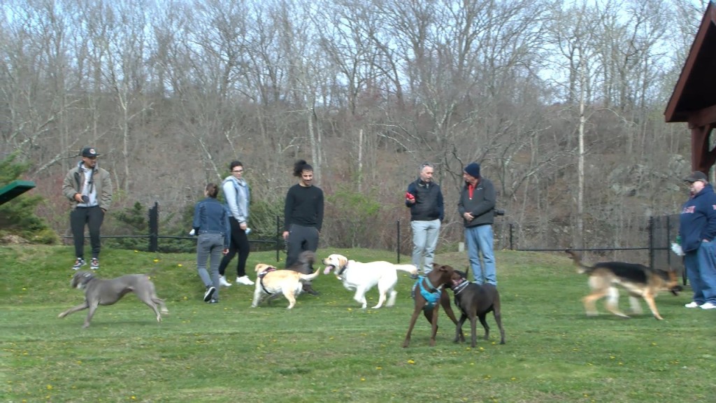Woonsocket Dog Park