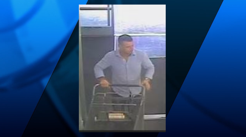 Warwick Shoplifter Graphic