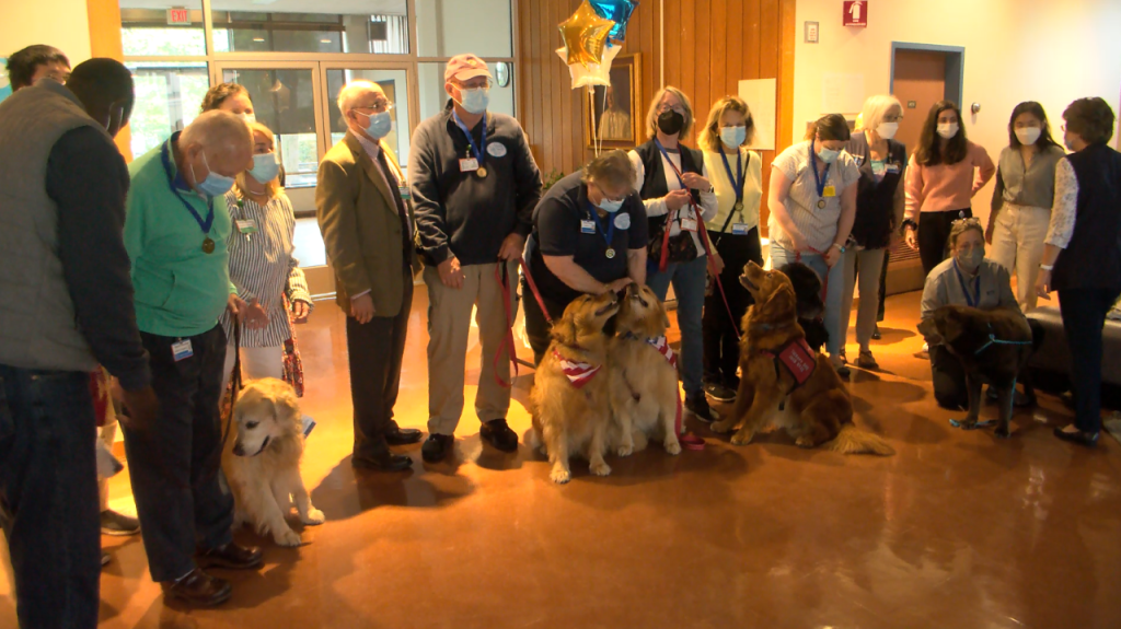 Rhode Island Hospital Dogs