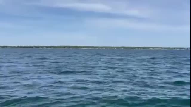 New Bedford Whale (towboatus New Bedofrd)