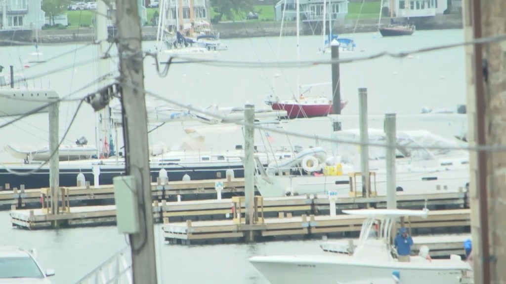 Newport Early Summer