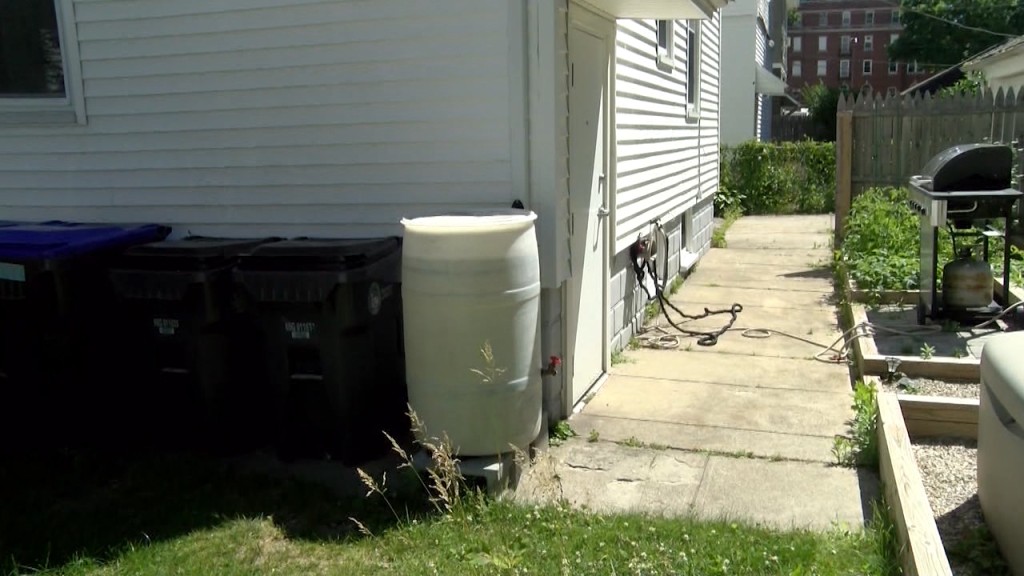 Rain Barrel