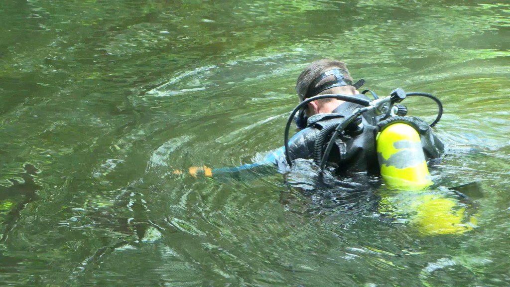 Charlotte Lester search party