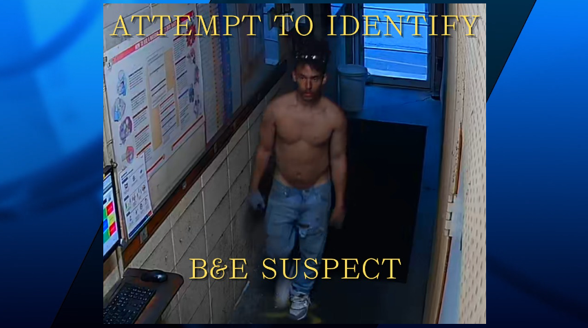 Warwick Shredded Guy Graphic