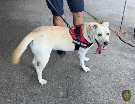 293951739 405557738272421 3826679572085008363 N