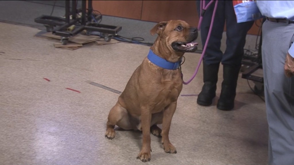 Pick Of The Litter: Freddi Is Back!