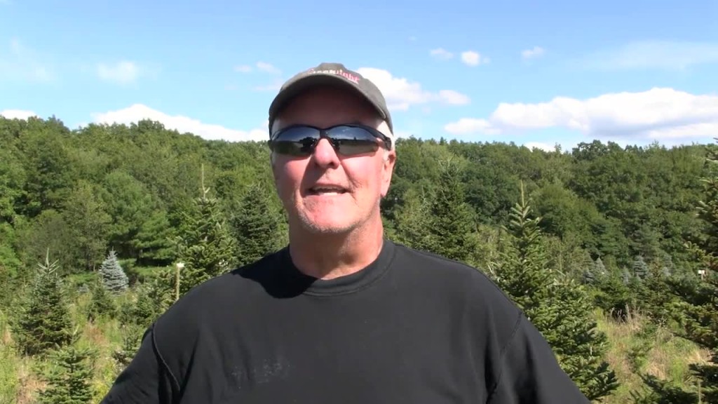 West Greenwich Christmas Tree Farm