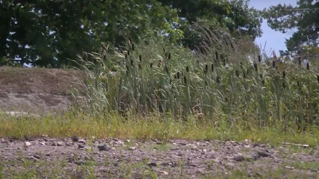 Attleboro Water Shortage