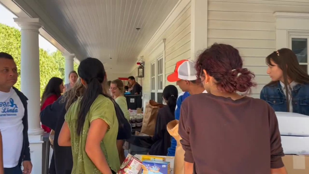 Migrant On Martha's Vineyard