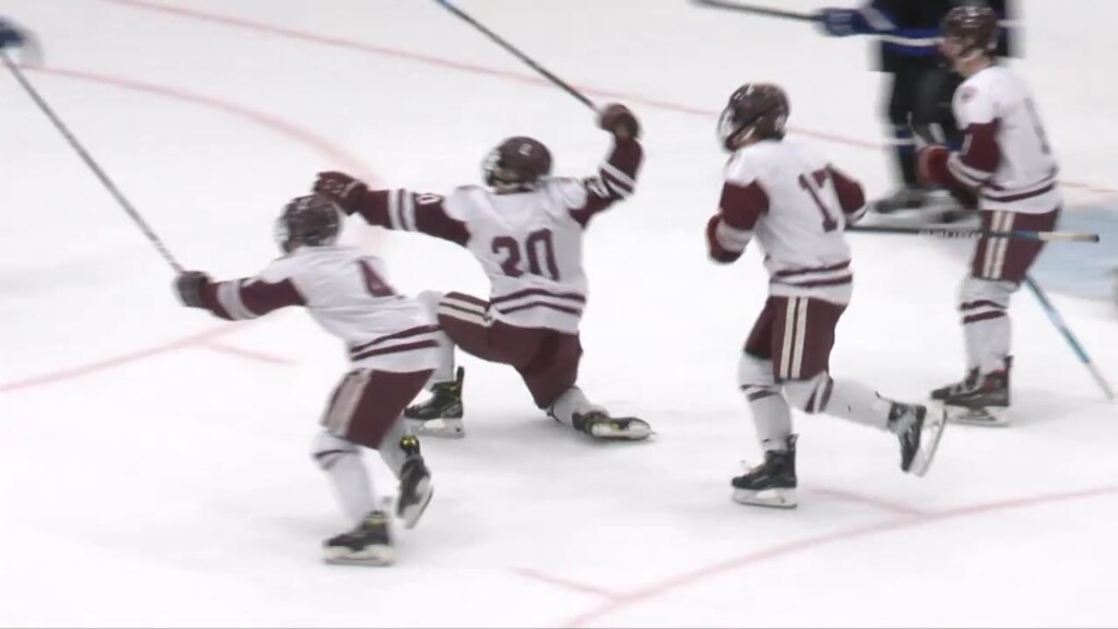 La Salle Takes Down Cumberland In Division I Boys Hockey Semifinal
