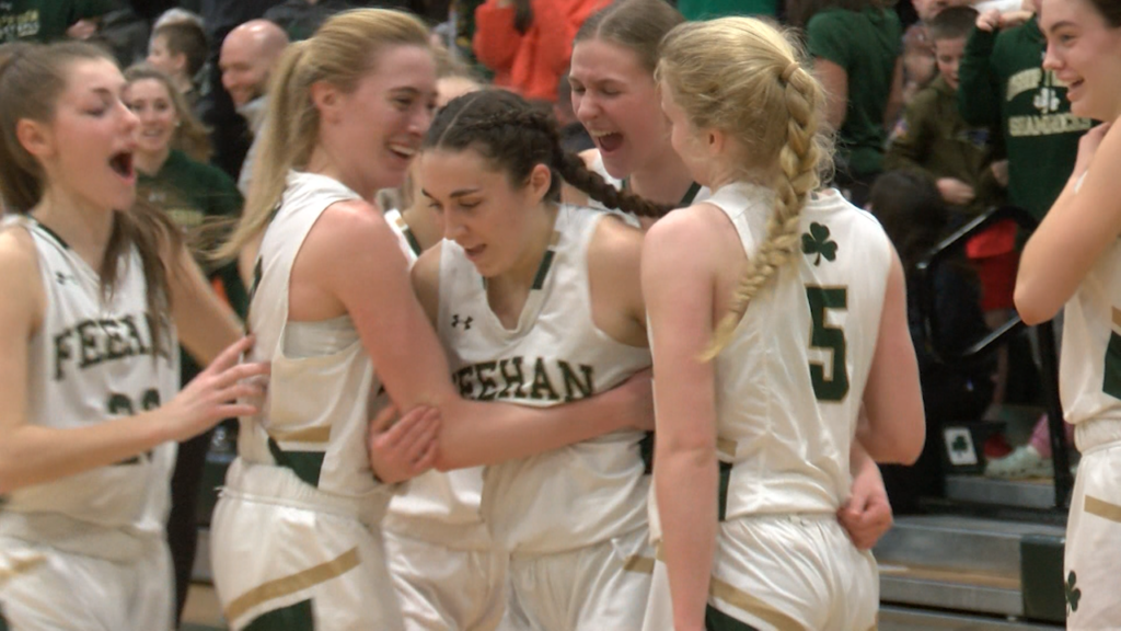 Feehan Gbb 3 6