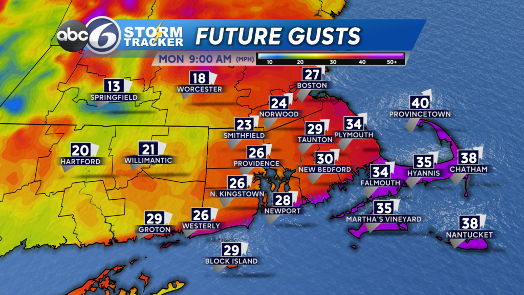 Future Wind Gusts