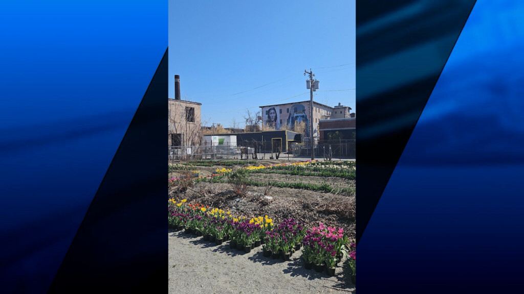 03915 Vo Fall River Gun Arrest V Jrichard Tria00 01 04 11still001