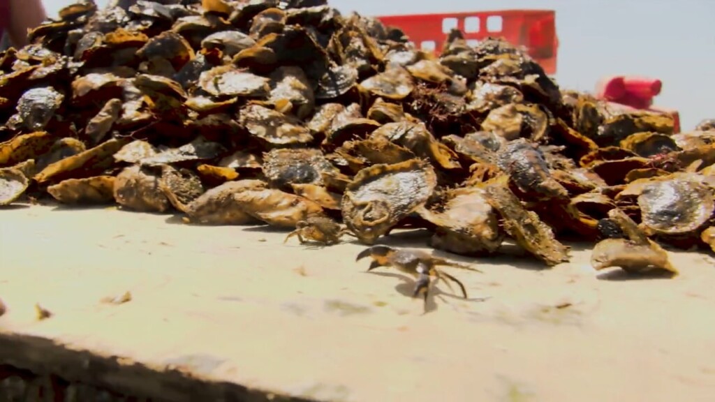 Science Of Aquaculture