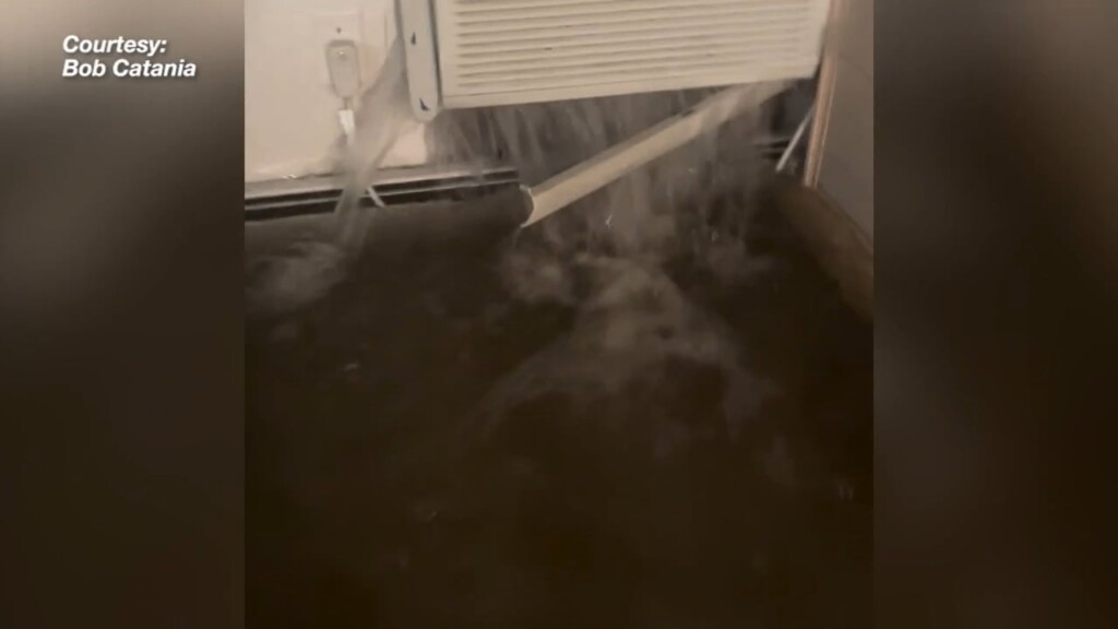 Alyssa Dean Estate Pkg