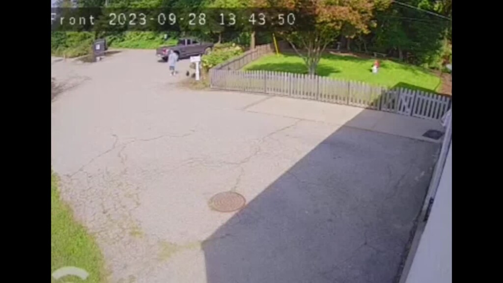 Cumberland Police Searching For Woman Who Allegedly Broke Into The Hotel For Homeless Dogs