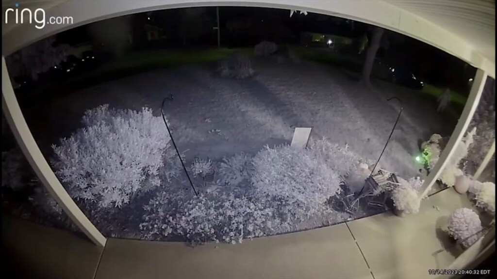 Riverside Plant Poacher Caught On Surveillance Video