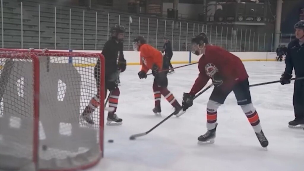 Hockey Leagues Consider Neckguards