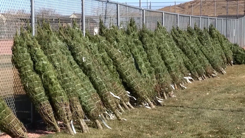 Chritsmas Fire Safety Tips