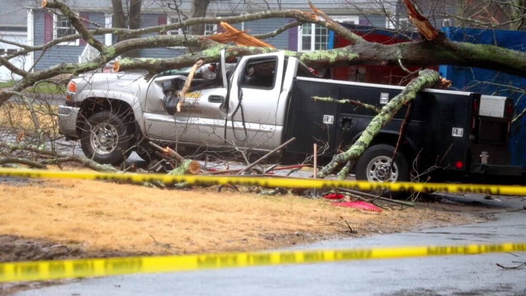 David Curran Shared This Video After A Man Became Trapped In A Truck After A Tree Fell On Top Of It In Holbrook