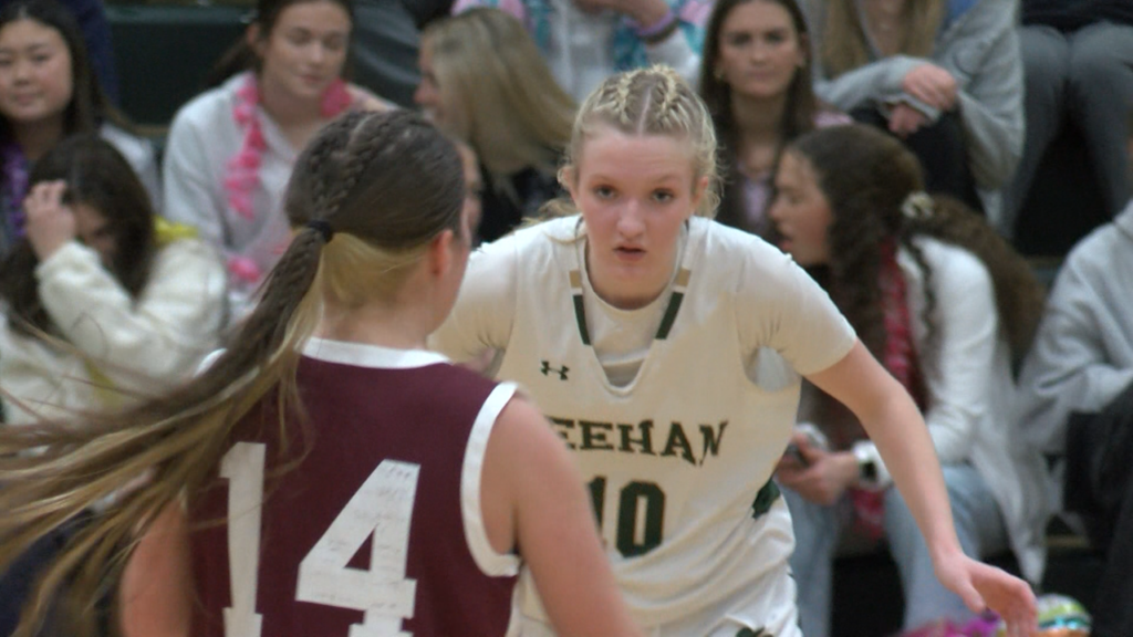 Feehan Gbb 2 9