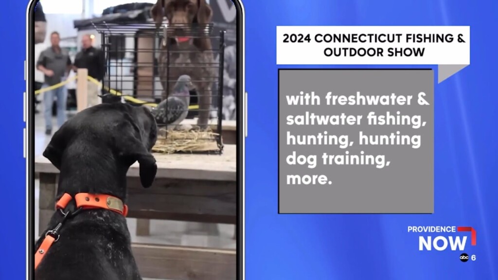 2024 Ct Fishing And Outdoor Expo