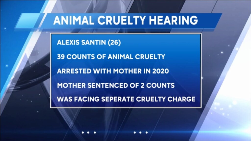 Massachusetts Special Education Teacher Accused Of Assaulting Student