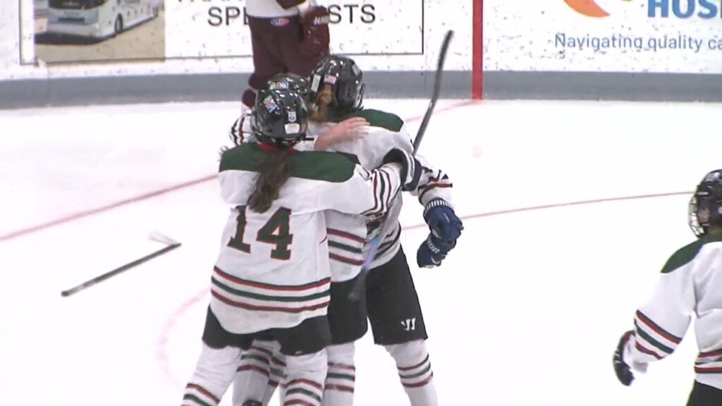 Baldwin's Goal Late In Ot Lifts Scmb To Girls Hockey State Title