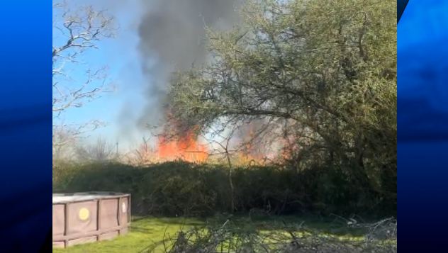 Brush Fire Newport 2