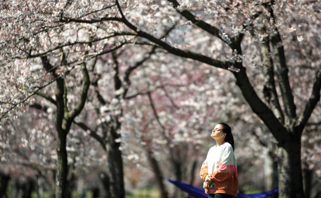 B01 Ap20134750688393 1100x679