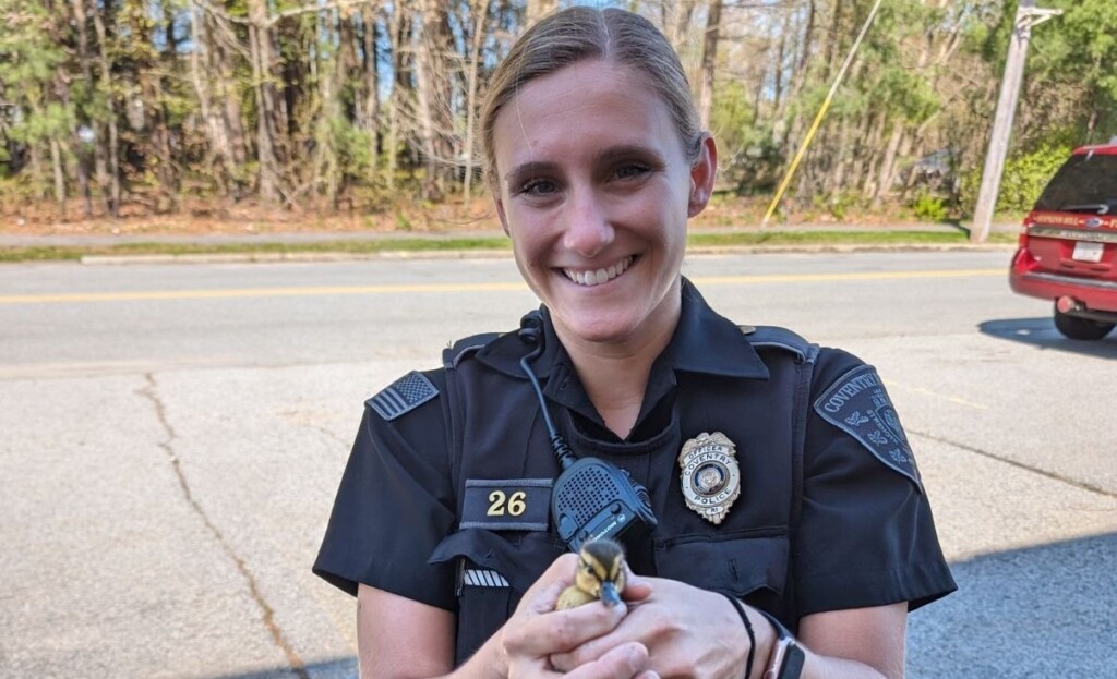 442385972 830881219087055 1475574502257705834 N