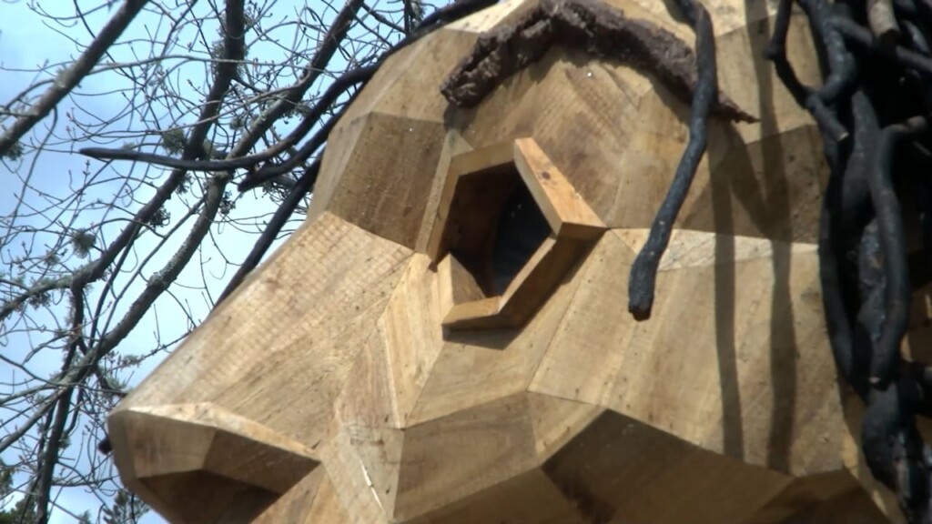 Giant Trolls Come To Ri