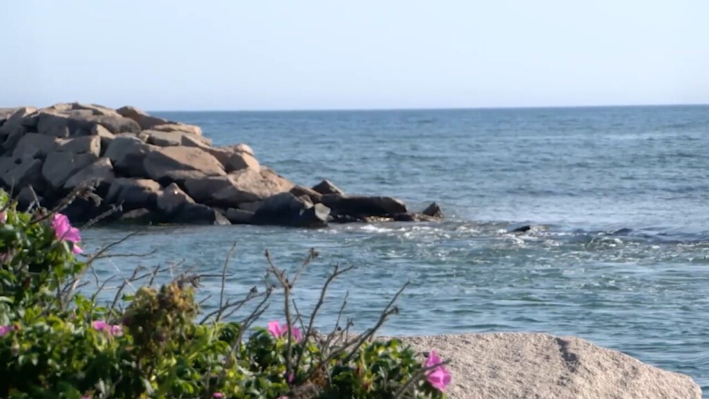 Locals Concerned Over Deteriorating Rock Wall In Charlestown