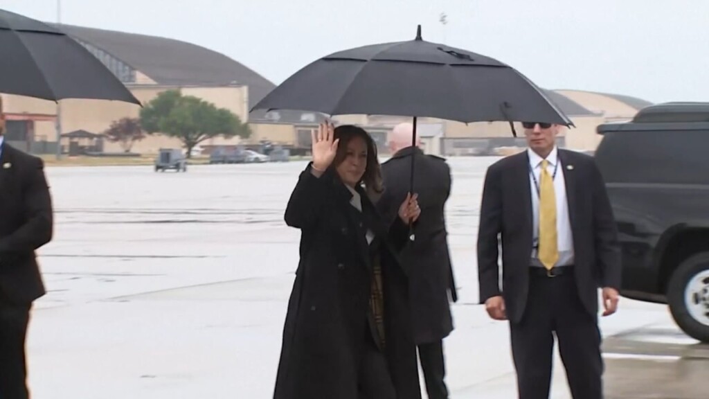 Democrats Weighing Options After Biden Drops Out