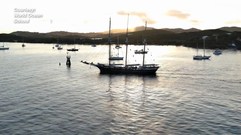 The World Ocean School