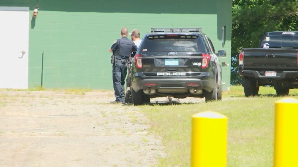 1300 Pound Bull On The Loose Euthanized After Wild Chase Through Raynham