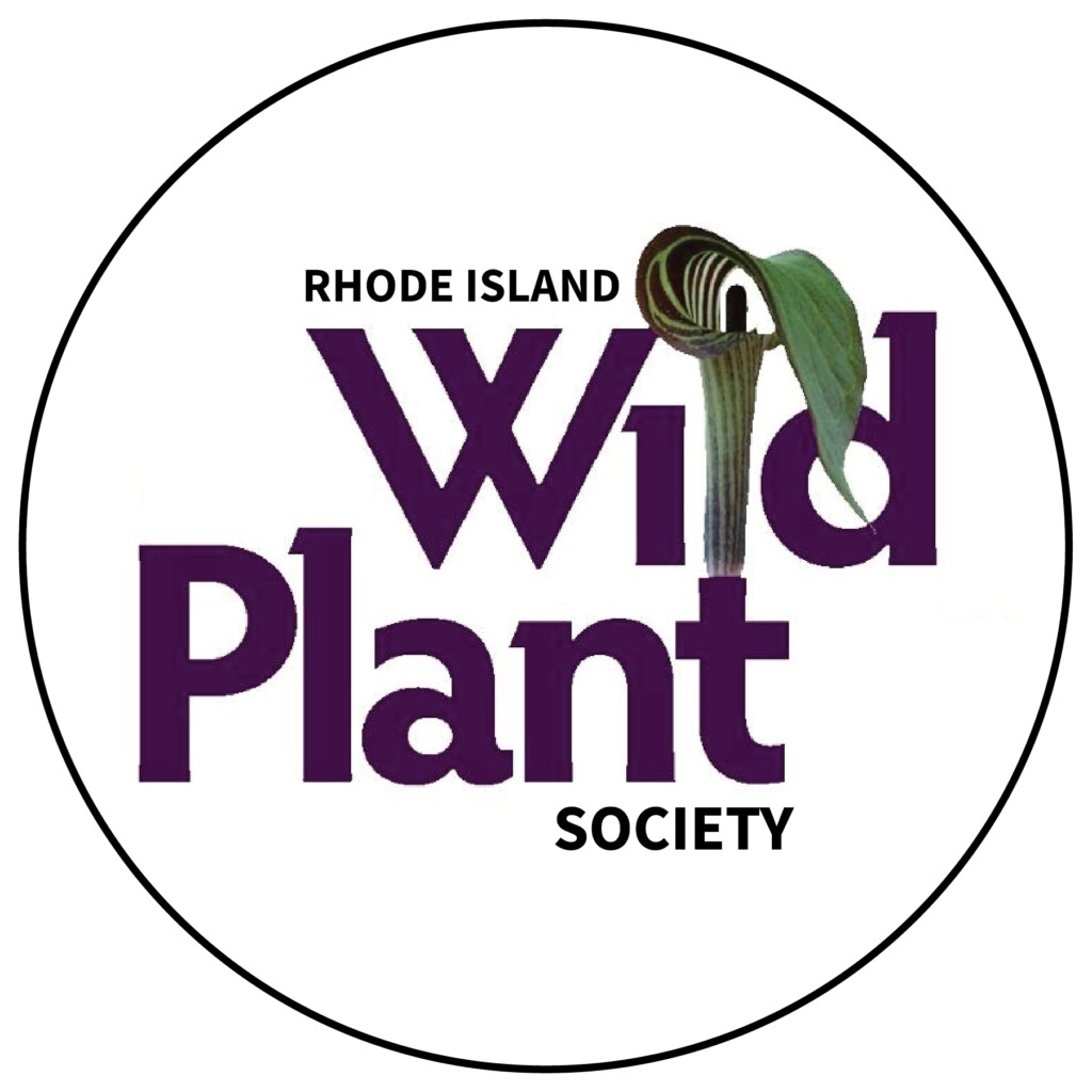 440754297 827870386053302 7414470534879189841 N