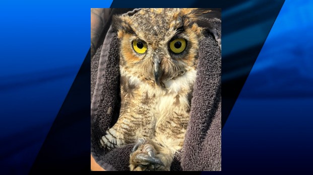 Screenshot 2024 08 24 173650111111111