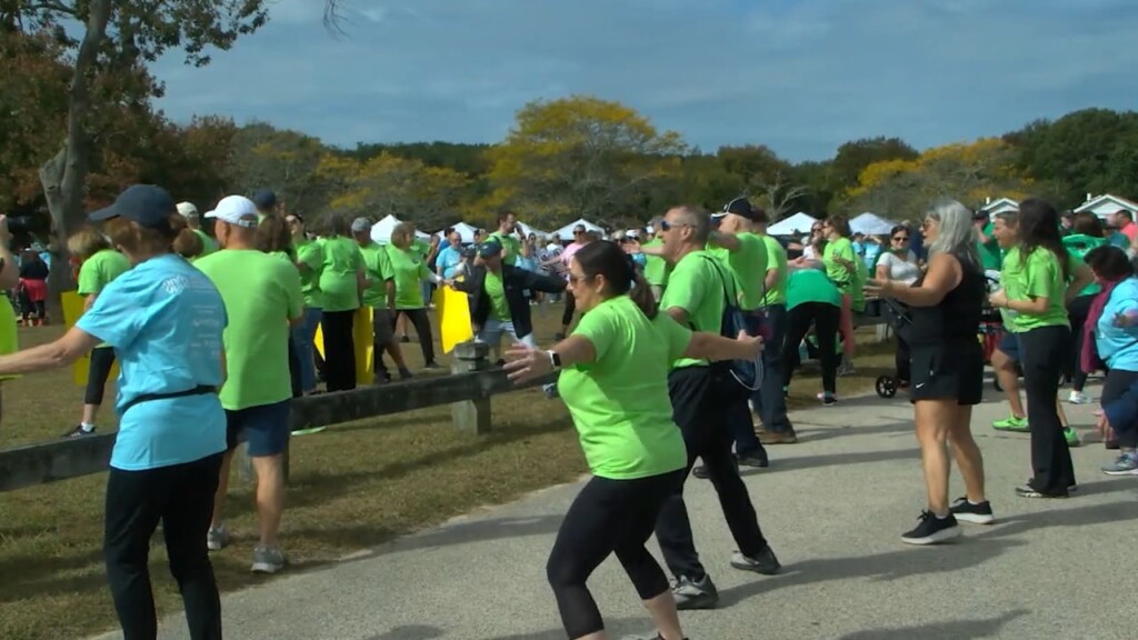 Warwick Alzheimers Walk