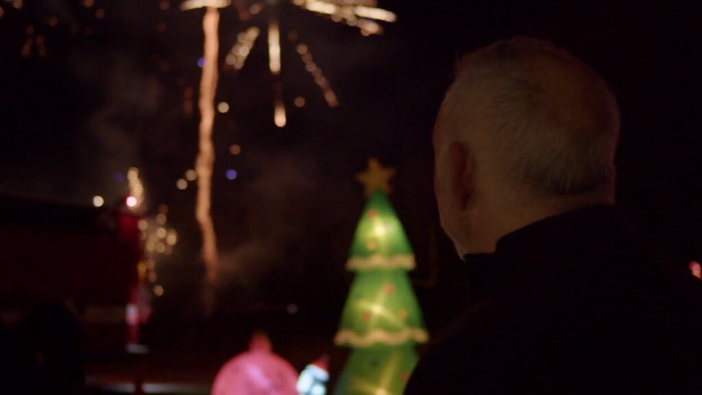 Preserve Tree Lighting