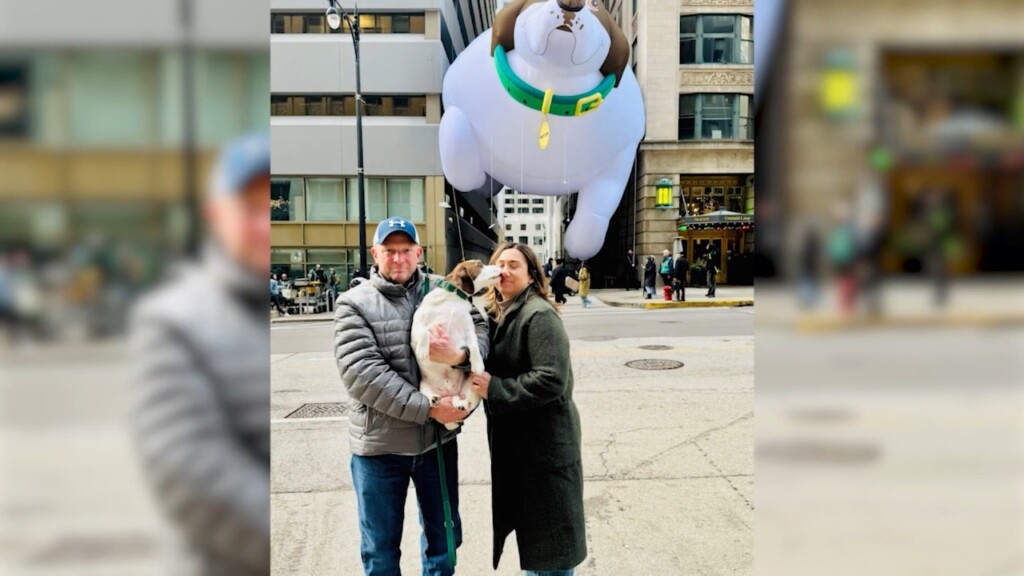 Cumberland Family's Dog Stars In Pet Food Commercial