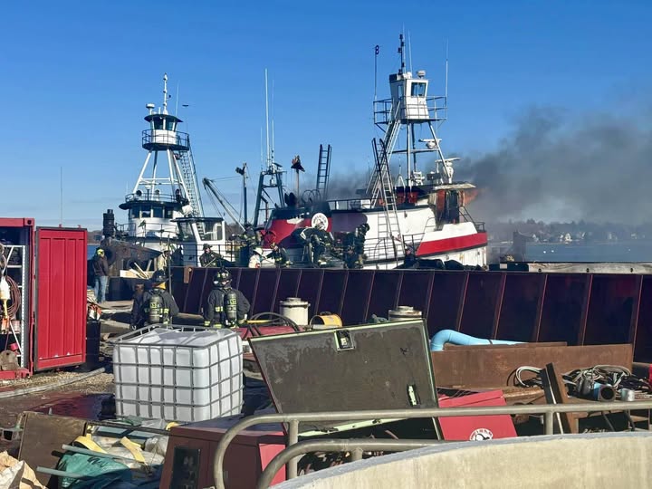 469480549 122209847564069289 641860914305283205 N