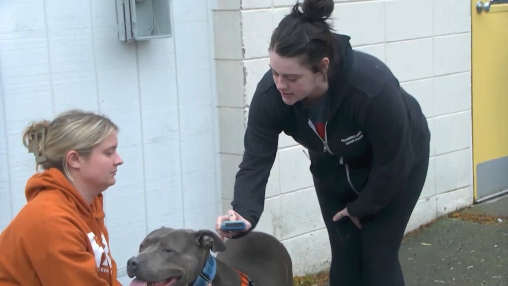 Animal Microchipping Station In Providence Opens
