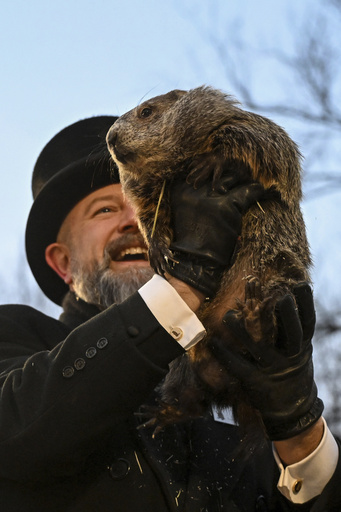 Punxsutawney Phil Sees His Shadow, Handlers Say, Predicting 6 More Weeks Of Wintry Weather