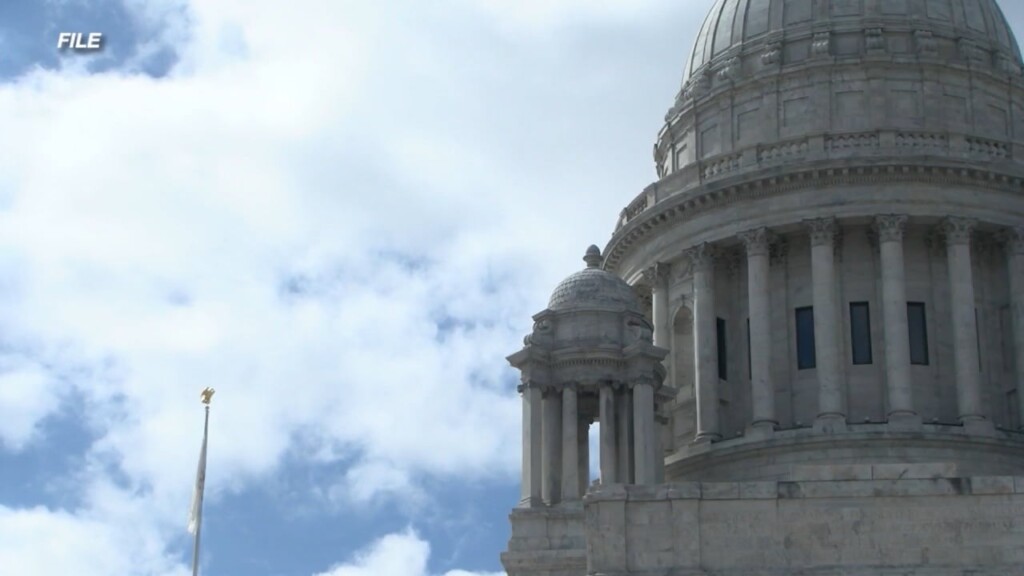 State House To Vote On Stray Cat Capture Neuter Release, Other Bills