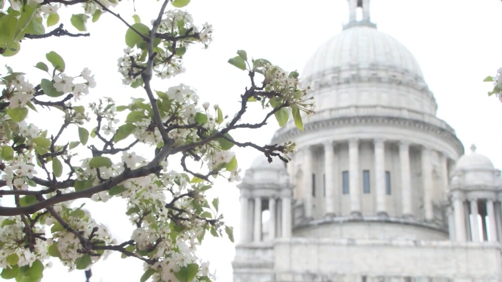 Rhode Island House Passes Bill On Forever Chemicals, Golf Course Defibrillators