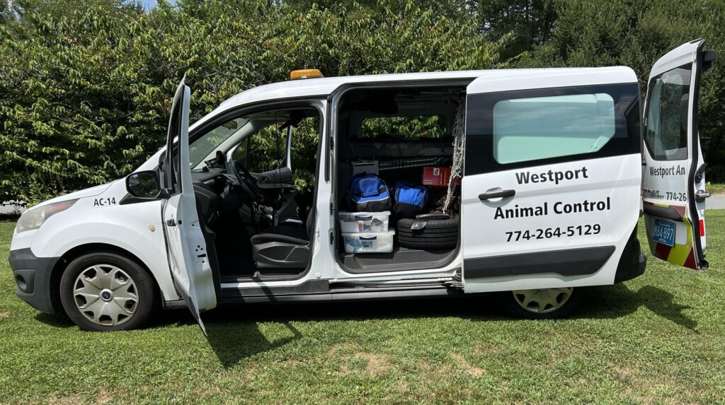 485195332 661396483210206 6910076860042538023 N