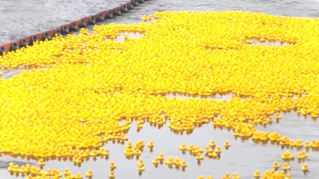 25th Annual Pawcatuck River Duck Race